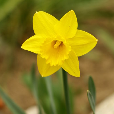 Velykos 2014