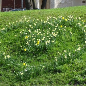 Brangūs Hospiso Geradariai,  Darbuotojai ir Savanoriai,